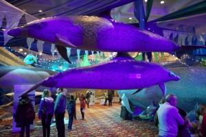Hall of Whales Hall of Whales at Whalefest 2012