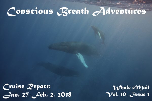 2018 Week 1 Cruise Report