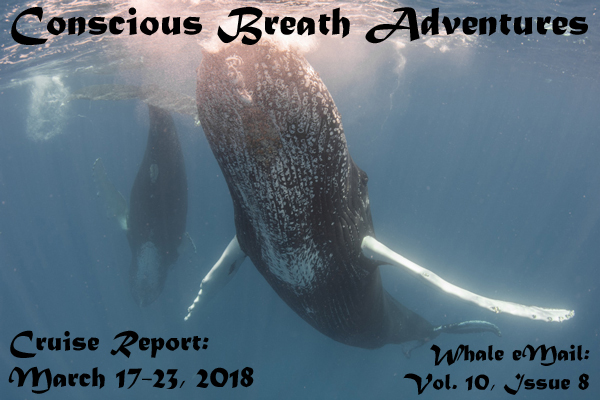 Cruise Report, Week 8: Mar. 17-23, 2018 – Conscious Breath Adventures