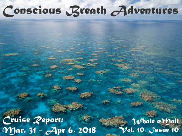 Cruise Report, Week 10: Mar. 31 – Apr. 7, 2018 – Conscious Breath Adventures