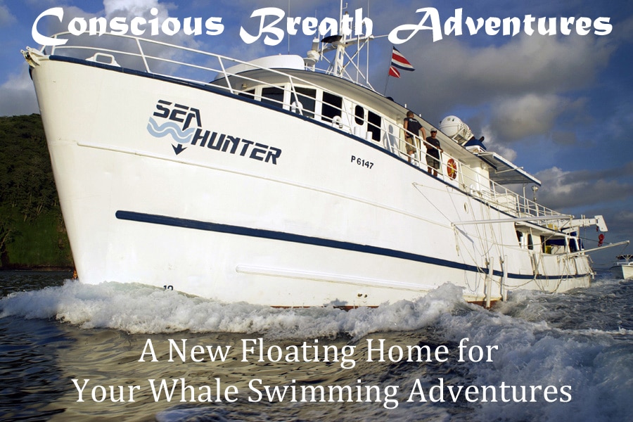 A New Floating Home for Your Whale Swimming Adventures