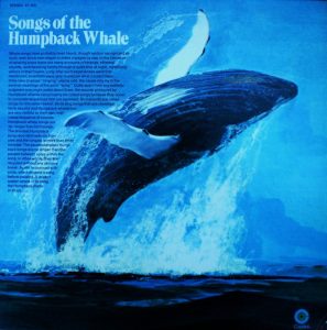 Album cover for "Song of the Humpback Whale"