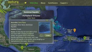 Whale song NatureSoundMap