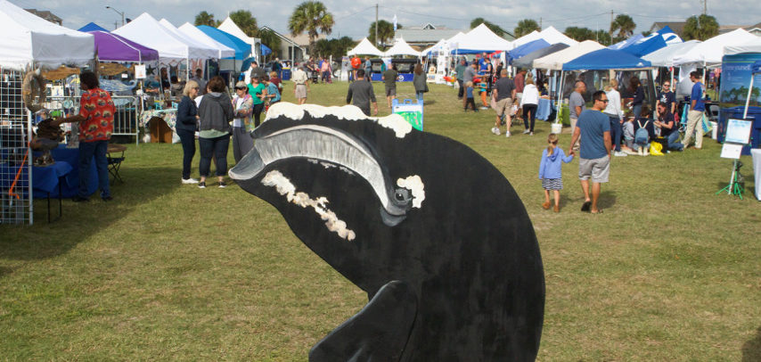 The Right Whale Festival