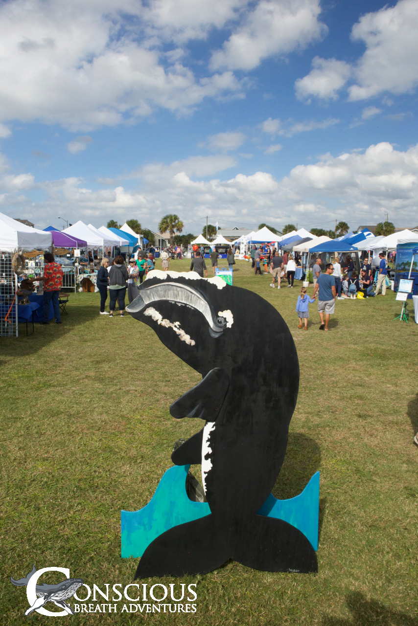 The 2019 Right Whale Festival