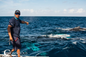 Crewman Emmanuel points the way to the whales